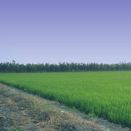 Green Village 1 เกิ่นเทอ ภายนอก รูปภาพ