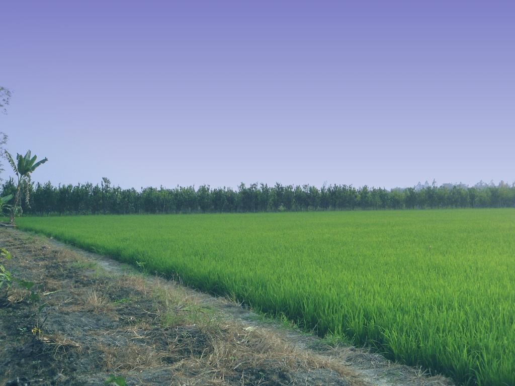 Green Village 1 เกิ่นเทอ ภายนอก รูปภาพ