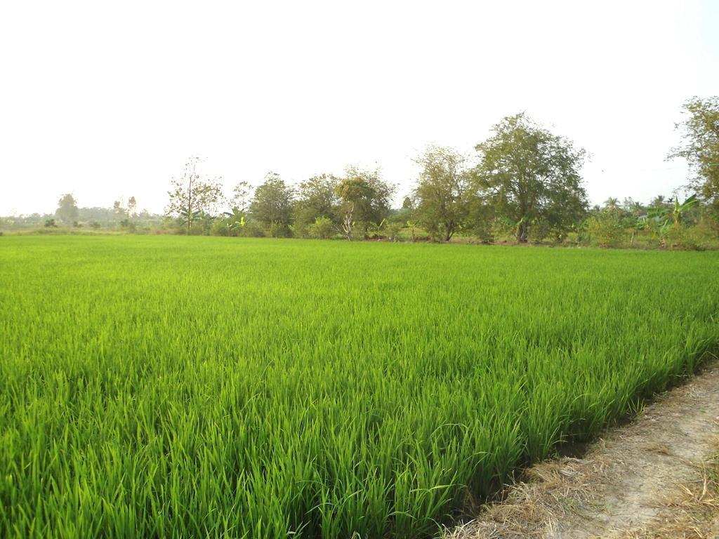 Green Village 1 เกิ่นเทอ ภายนอก รูปภาพ