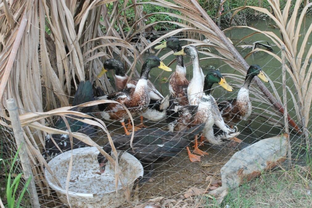 Green Village 1 เกิ่นเทอ ภายนอก รูปภาพ