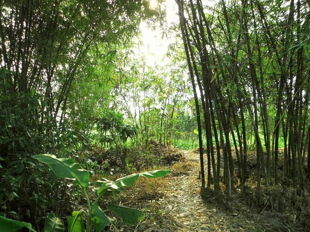 Green Village 1 เกิ่นเทอ ภายนอก รูปภาพ