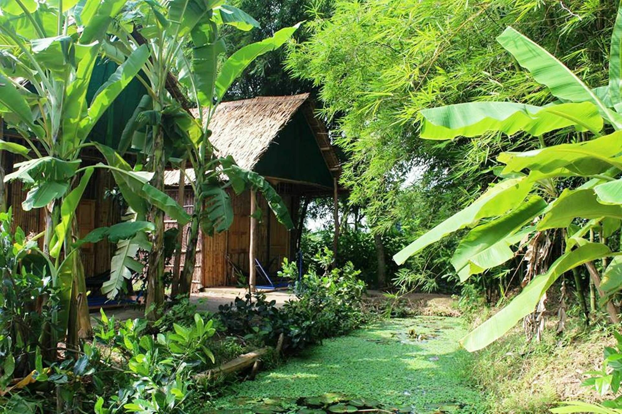 Green Village 1 เกิ่นเทอ ภายนอก รูปภาพ